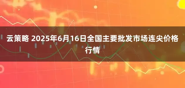 云策略 2025年6月16日全国主要批发市场连尖价格行情