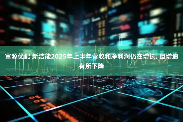 富源优配 新洁能2025年上半年营收和净利润仍在增长, 但增速有所下降
