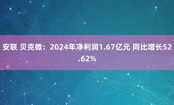 安联 贝克微：2024年净利润1.67亿元 同比增长52.62%